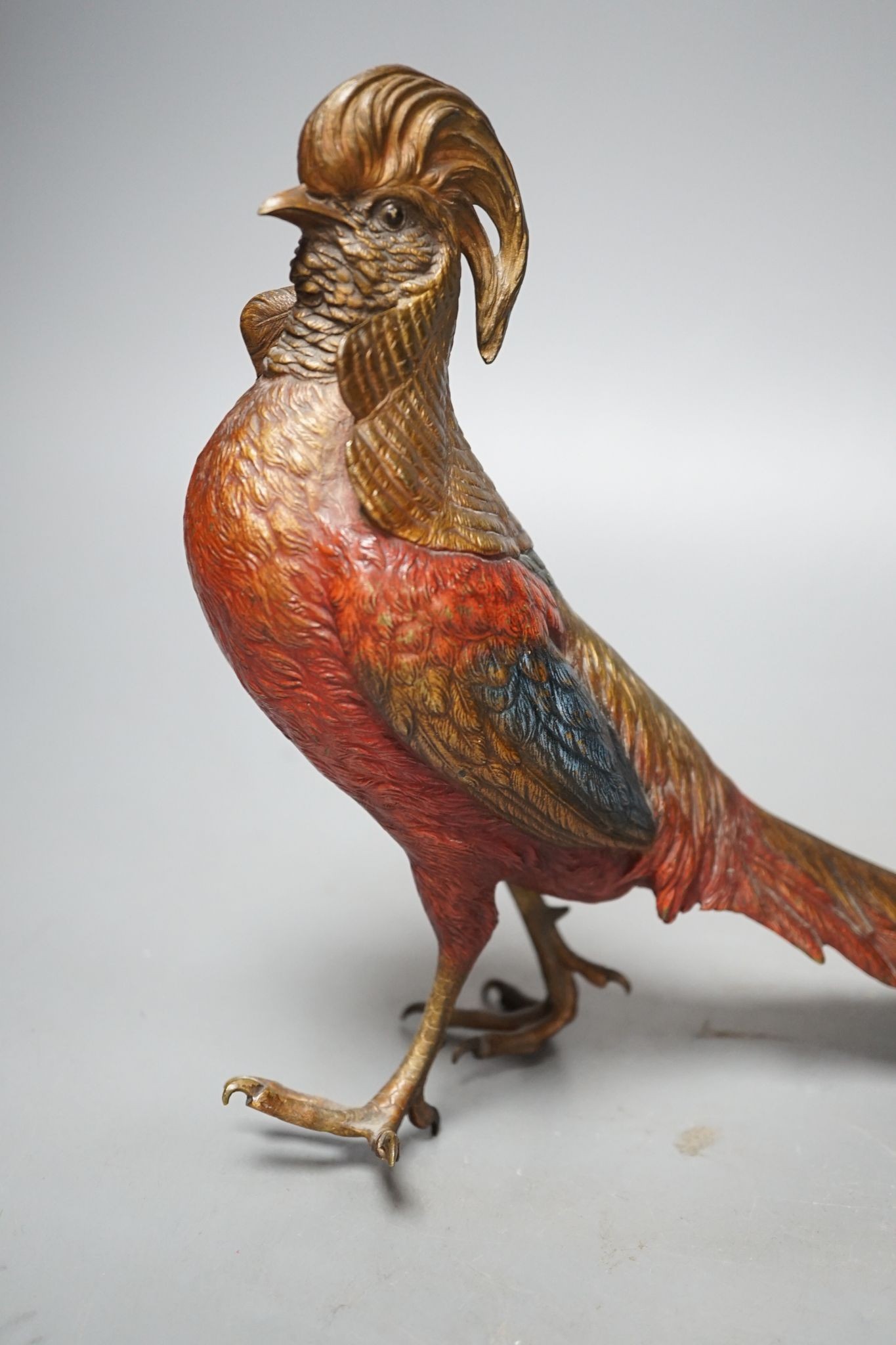 A cold painted bronze golden pheasant in style of Bergman 37cm